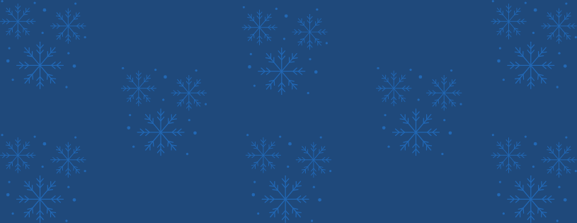 Wishing Our Members a Merry Christmas and a Happy New Year!